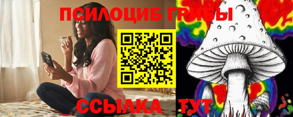 Псилоцибиновые грибы мицелий  Вход с VPN  Гудермес 