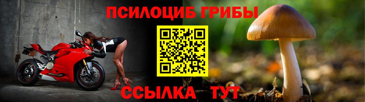 Галлюциногенные грибы Magic Shrooms Гудермес